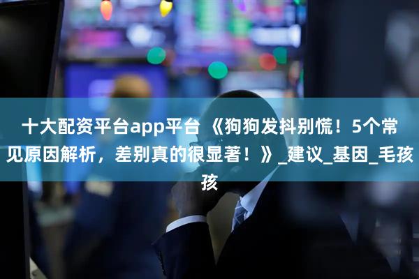 十大配资平台app平台 《狗狗发抖别慌！5个常见原因解析，差别真的很显著！》_建议_基因_毛孩